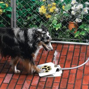 Outdoor Pet Water Fountain