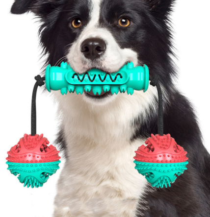 Teeth Cleaning Toy