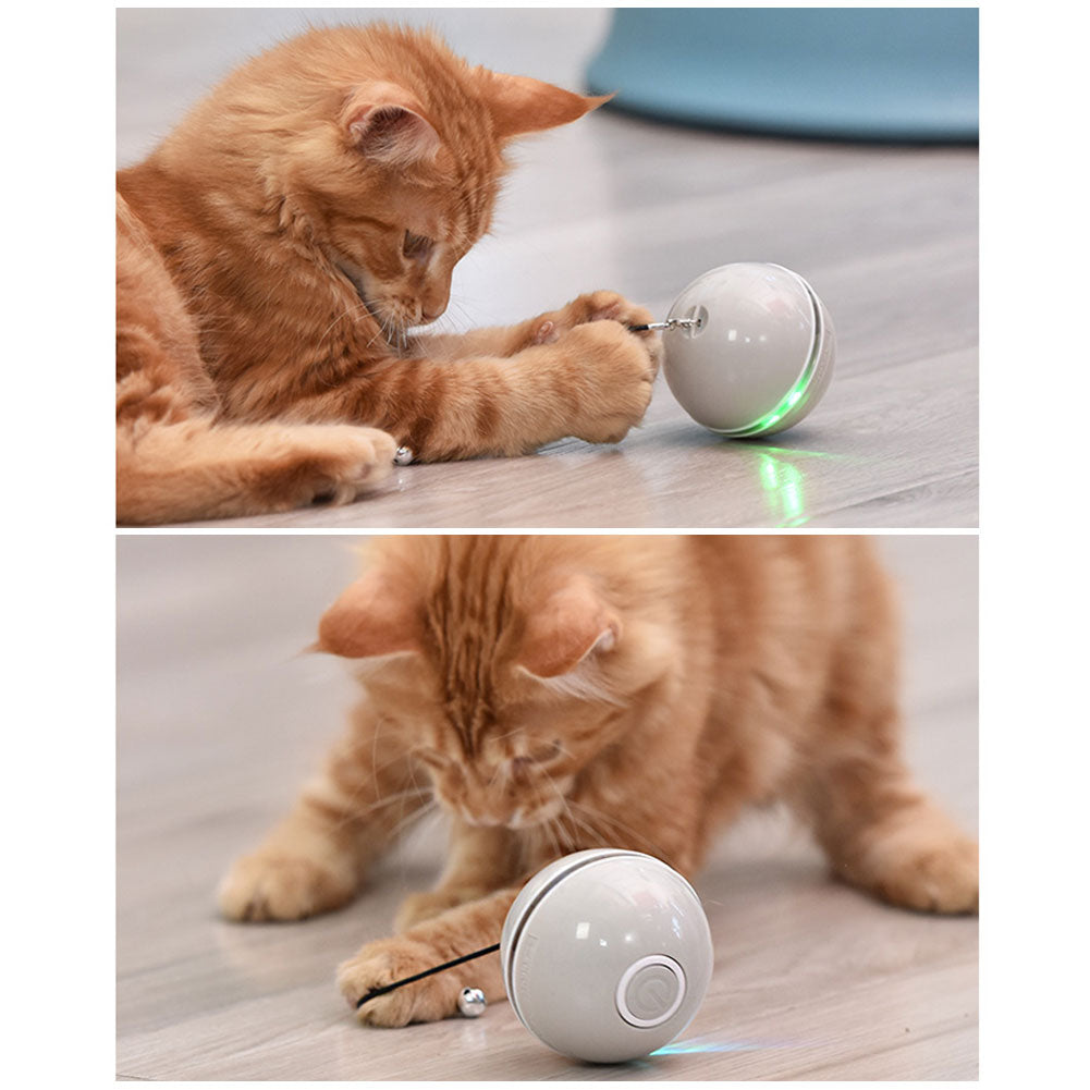 Cat LED Laser Ball