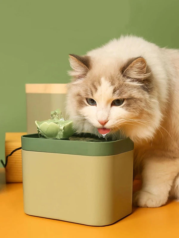 Pet Water Fountain