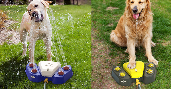 Outdoor Automatic Dog Drinking Fountains