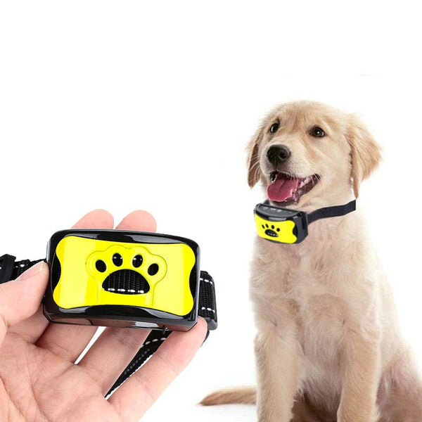 Remote Control Training Collar for Dogs
