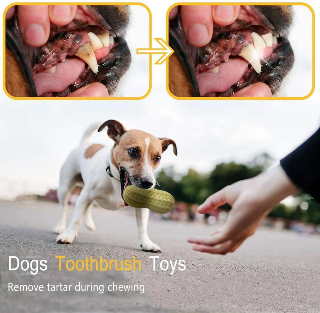 Peanut Squeaky Dog Toys