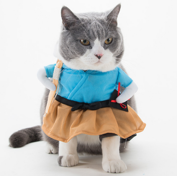 Cute Pet Costumes