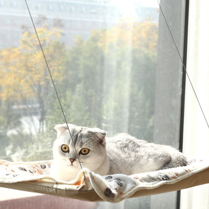 Hanging Cat Hammock