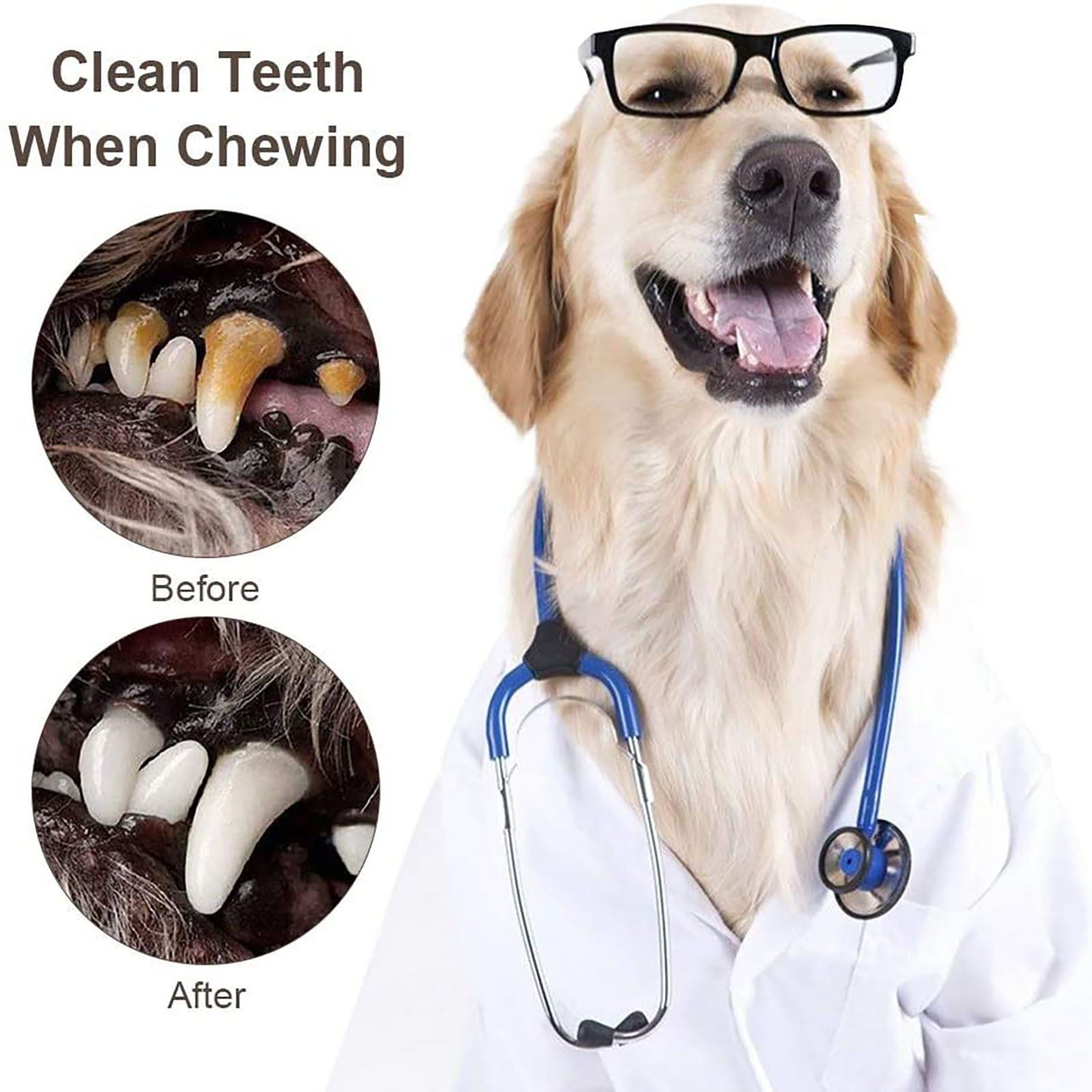 Non Toxic Dog Chew Toy