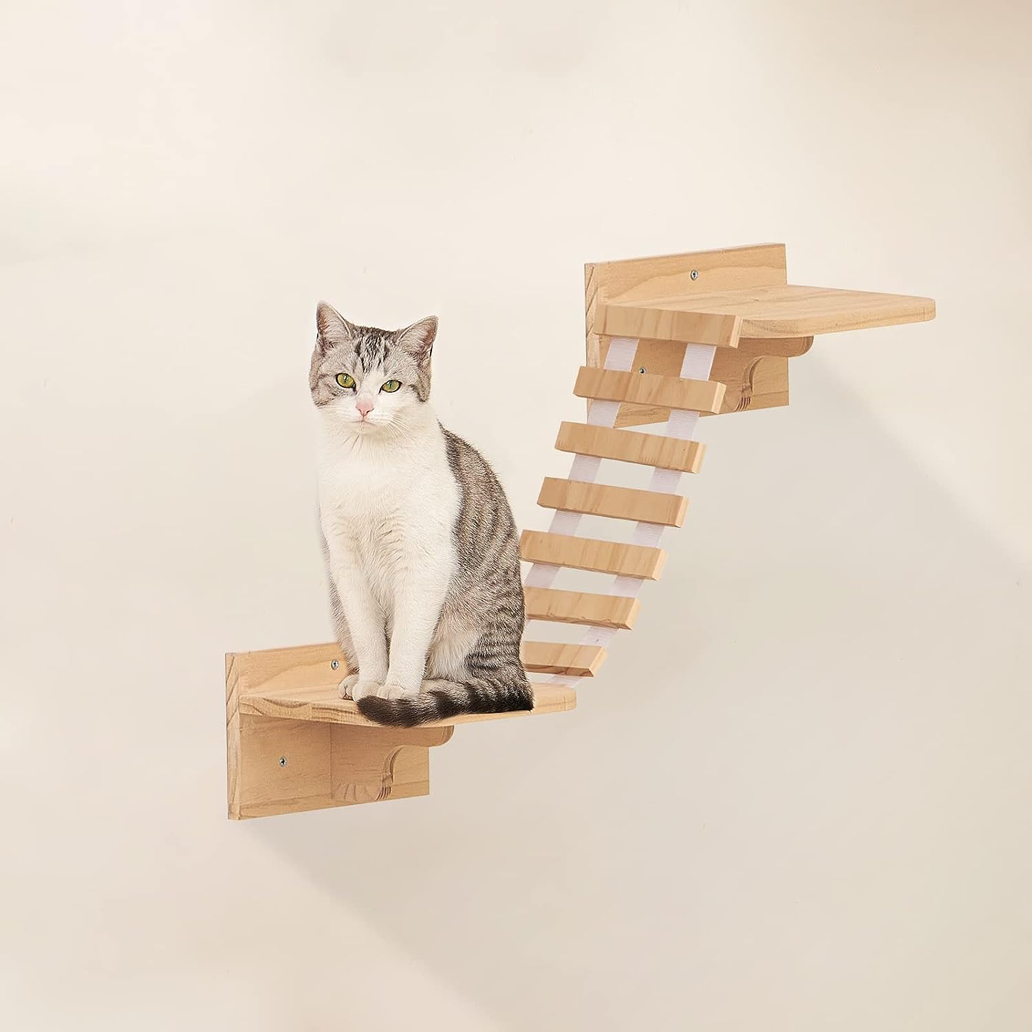 Cat Climbing Wall Frame