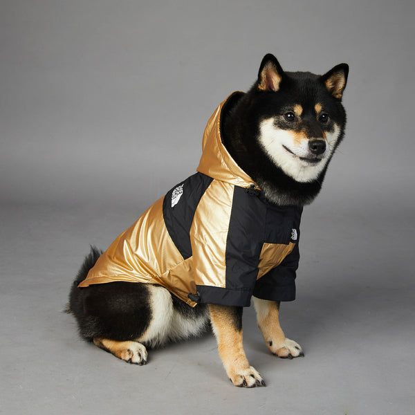 Gold Adjustable Raincoat