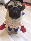 Cute Pet Costumes