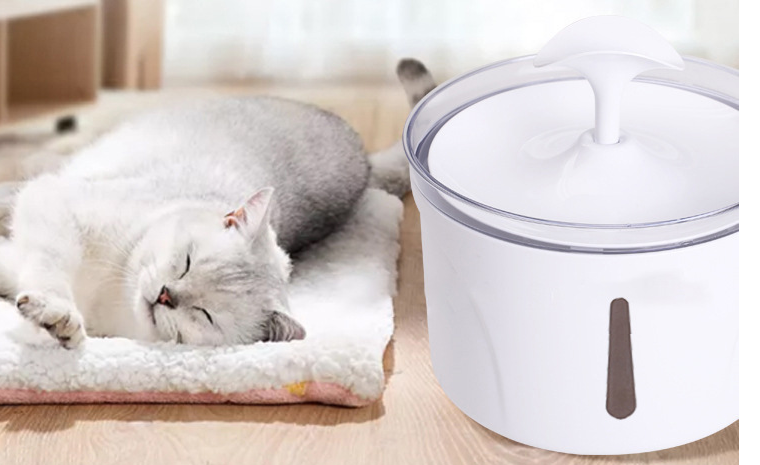 Smart Pet Water Dispenser