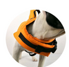 Pet Protective Life Jacket