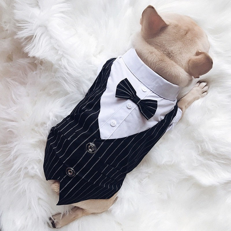 Gentleman Dog Clothes