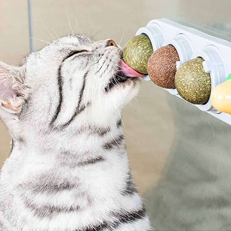 Cat Catnip Wall Ball