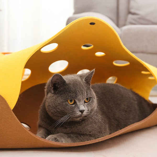 Cat Collapsible Tube Tunnel