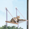 Cat Hanging Hammock