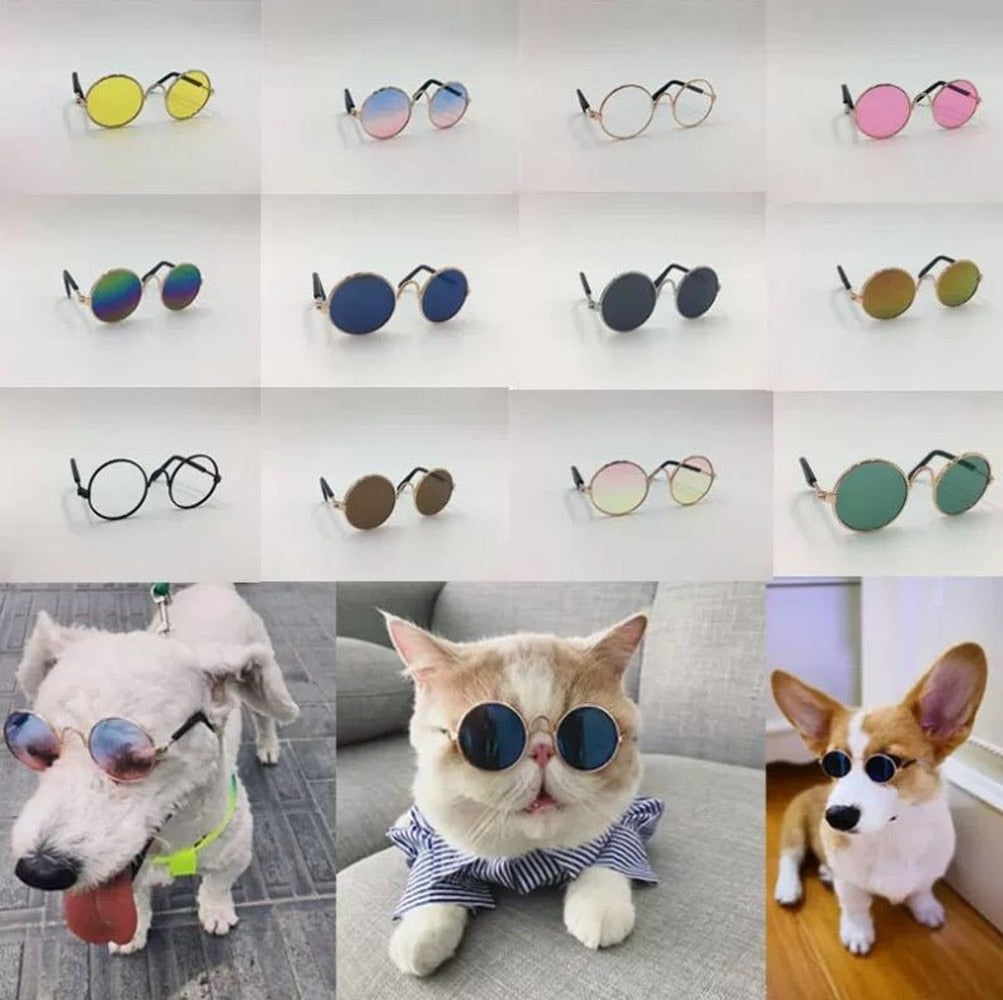Pet Cute Sunglasses