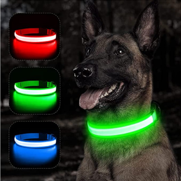 LED Glowing Luminous Dog Collar