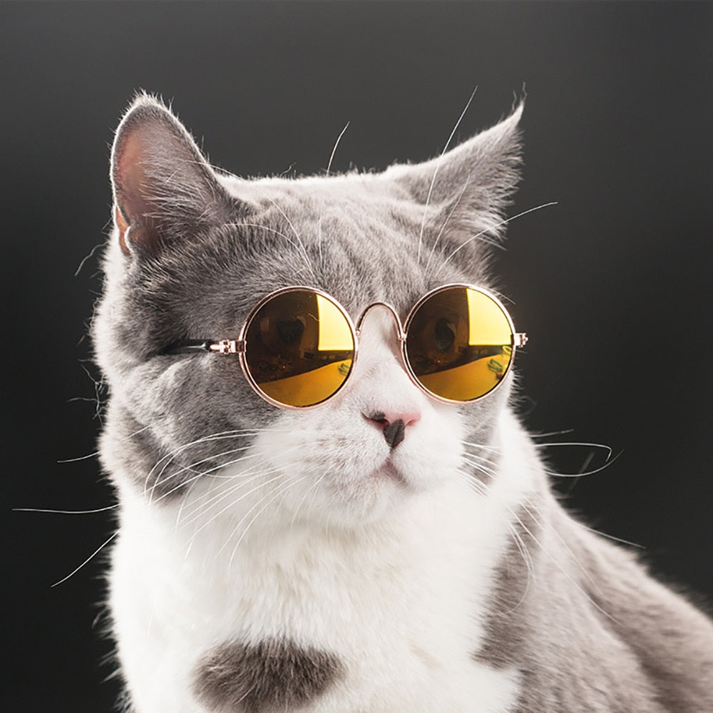 Pet Cute Sunglasses
