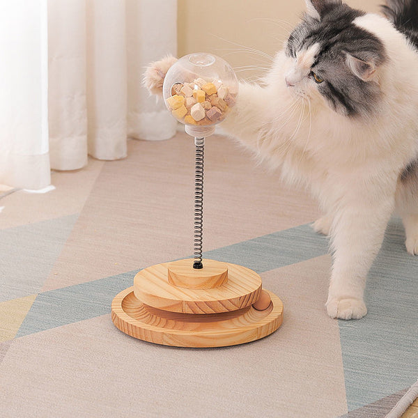 Cat Educational Toy Ball