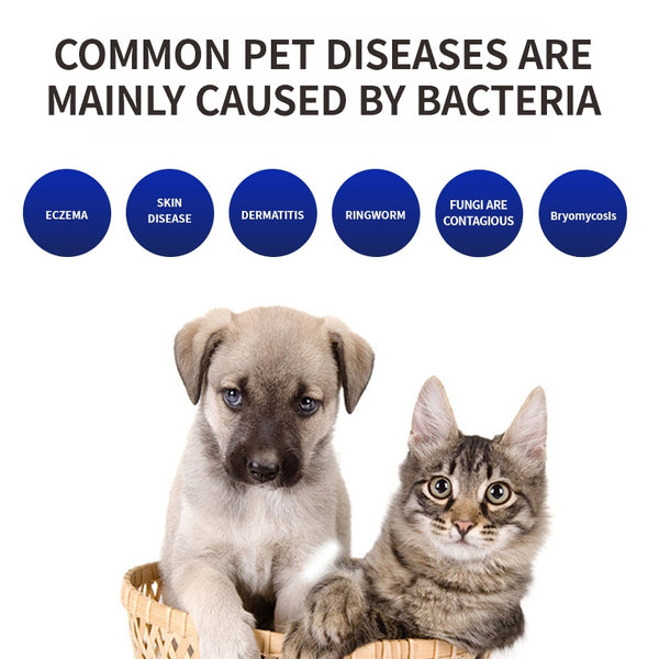 Bacteria Killing Pet Comb