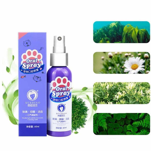 Teeth Cleaning Spray for Dogs & Cats