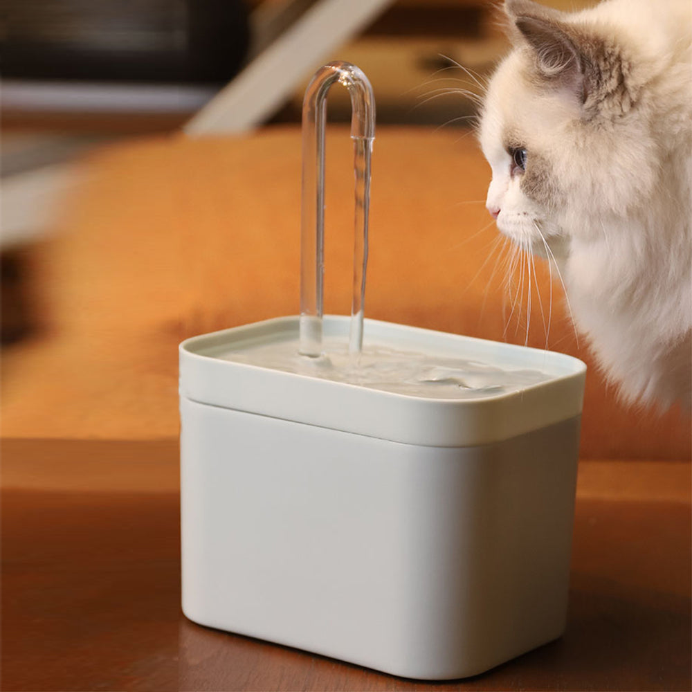 Pet Water Fountain