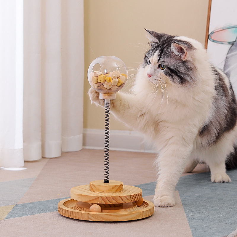 Cat Educational Toy Ball