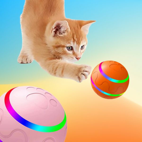 Cat Wicked Ball Toy 