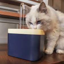 Pet Water Fountain