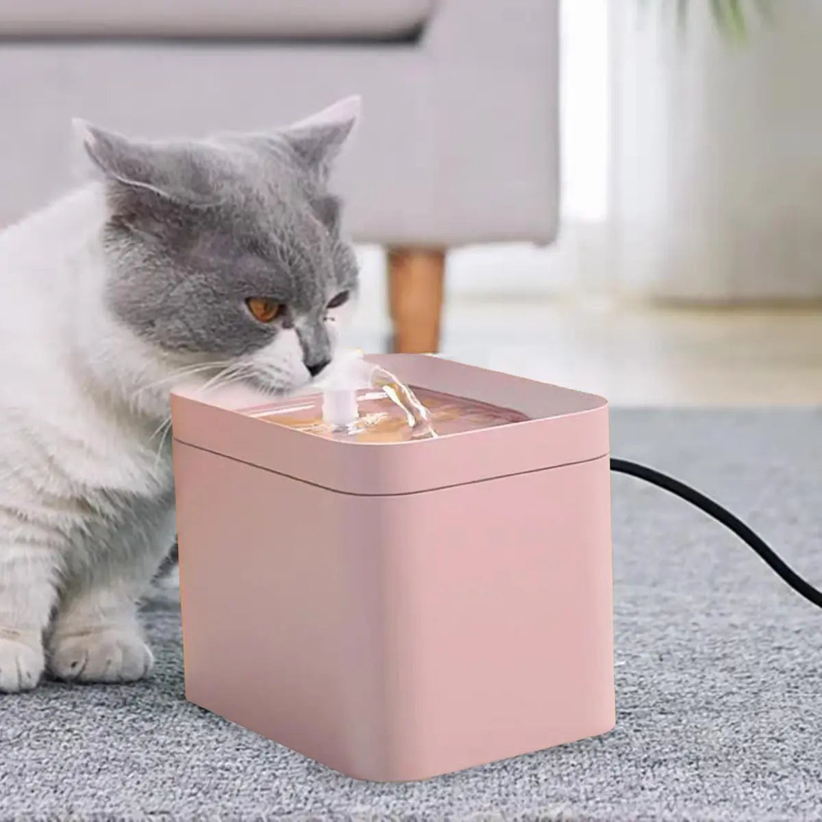 Pet Water Fountain