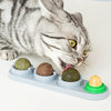Cat Catnip Wall Ball