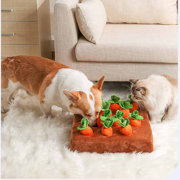 Interactive Carrot Farm Dog Toy